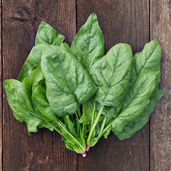 4 Delicious Foods You’ll Want To Eat for Healthier Hair & Skin - Spinach