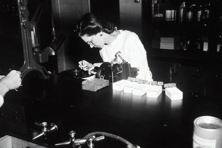 Top 5 Women in STEM Who Have Made an Impact on the World Top 5 Women in STEM Who Have Made an Impact on the World