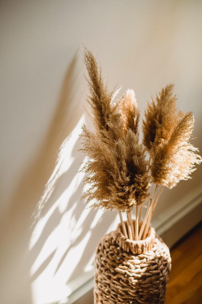 Bunch of dry plants in vase