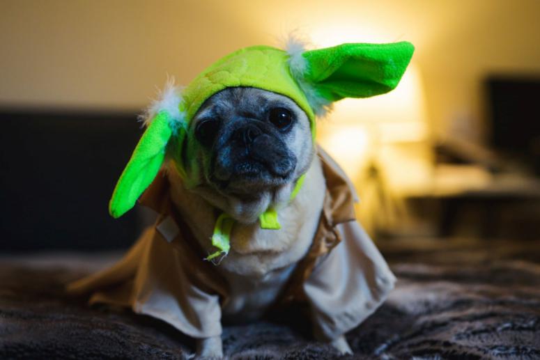 May the 4th Be With You Star Wars Inspired Clothing May the 4th Be With You Star Wars Inspired Clothing