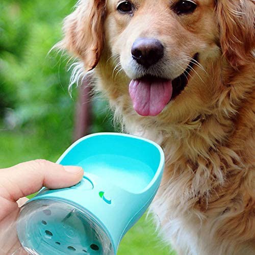 Portable Water Bottle