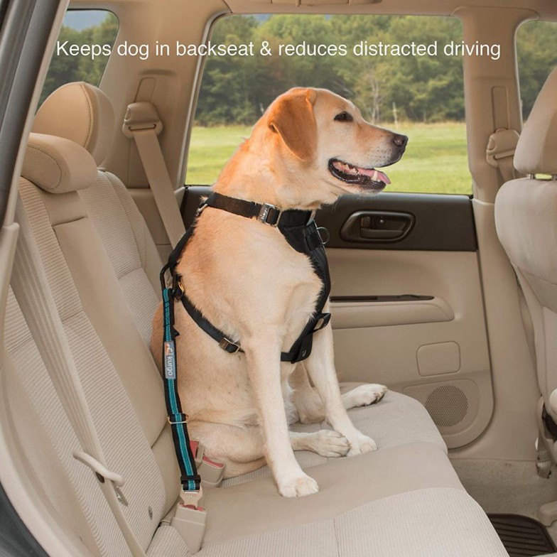 Seat Belt Tether