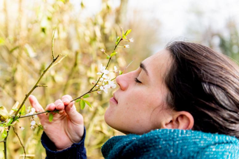 Top Care Allergy Relief Doctor-Approved Home Remedies Top Care Allergy Relief Doctor-Approved Home Remedies