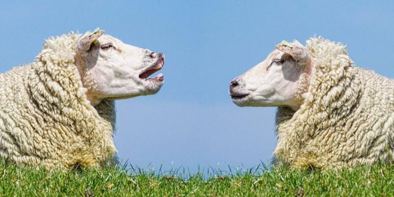 Our 5 Best PRO Tips for Clear Communication With Clients