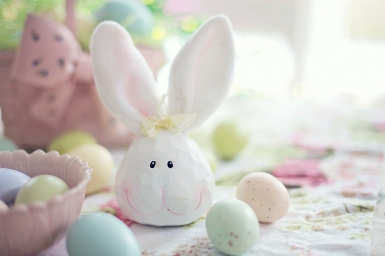 bunny