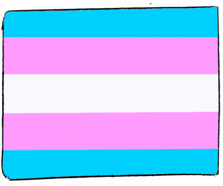 Top Transgender TikTok Stars You Need to Follow Now Top Transgender TikTok Stars You Need to Follow Now