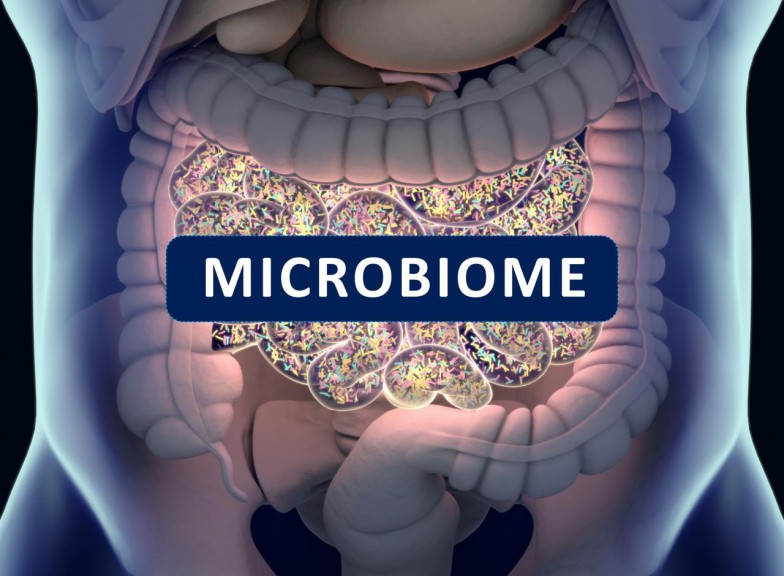 microbiome
