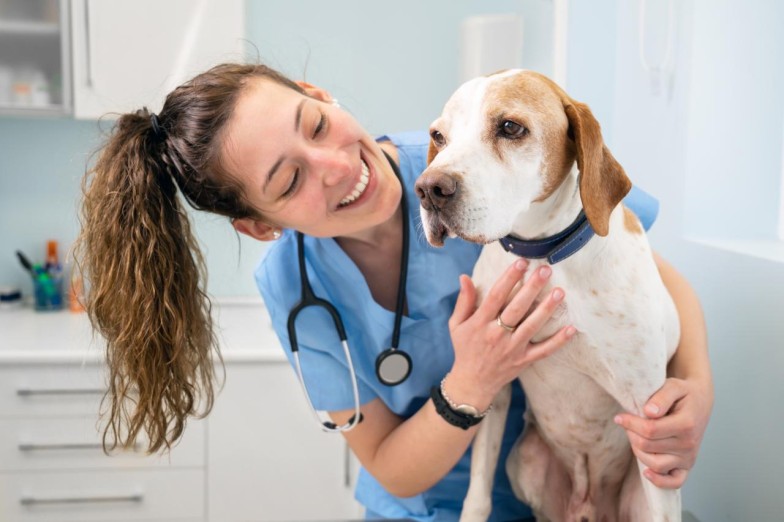 vet
