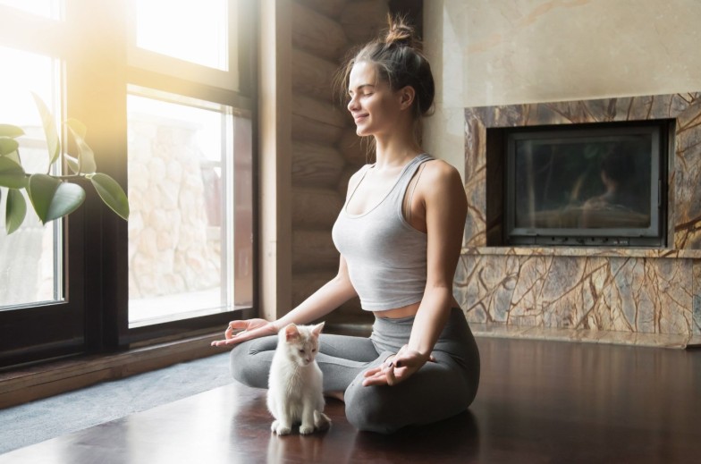 Young attractive smiling woman practicing yoga, sitting in Half Lotus exercise, Ardha Padmasana pose, working out, wearing sportswear, meditation session, indoor full length, home interior, cat near