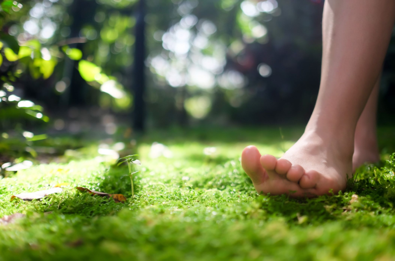 women bare feet walking on moss with sunlight