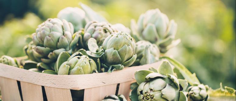 Artichokes Artichokes