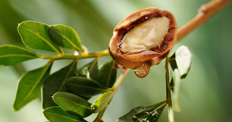 argan oil