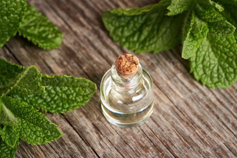 Mint Oil