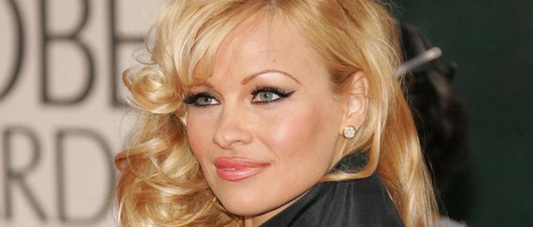 Pamela Anderson Hairstyle Pamela Anderson Hairstyle