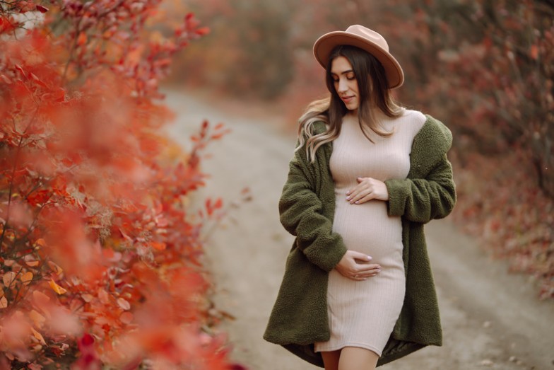 autumn Maternity Dress