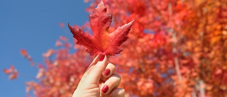 Red Fall Nails Red Fall Nails