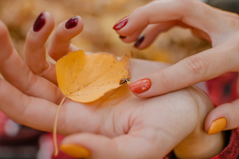 autumn manicure