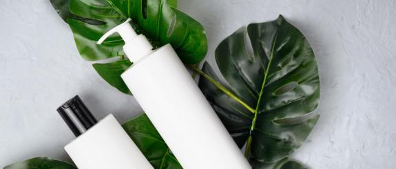 Skin Longevity