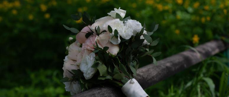 Beauty Service Providers