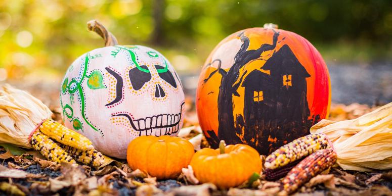 Pumpkins for Carving or for Your Hair