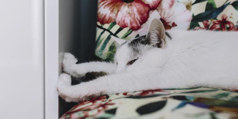 Top 6 Ways To Have A Good Rest After The Holidays