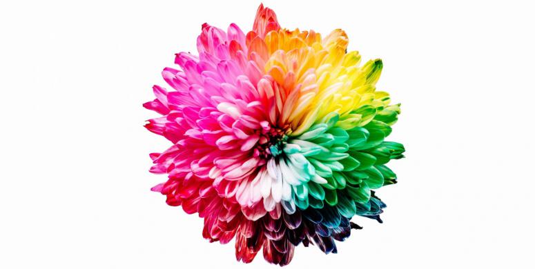 10 New Year Challenge Ideas Yoursquove Never Thought Of 10 New Year Challenge Ideas Yoursquove Never Thought Of