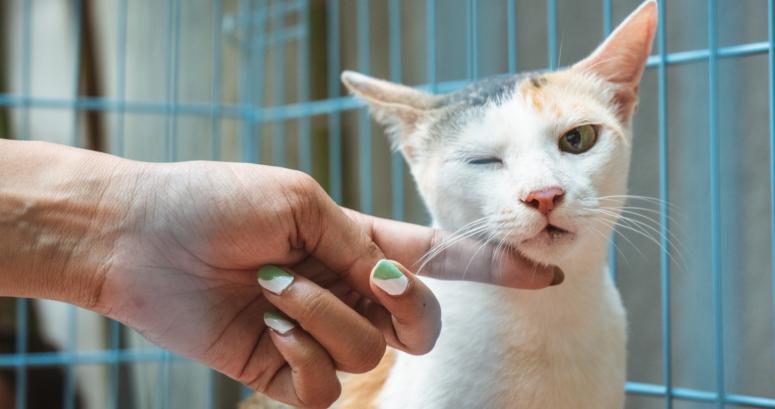 7 Vegan Nail Polish Brands You Should Try 7 Vegan Nail Polish Brands You Should Try