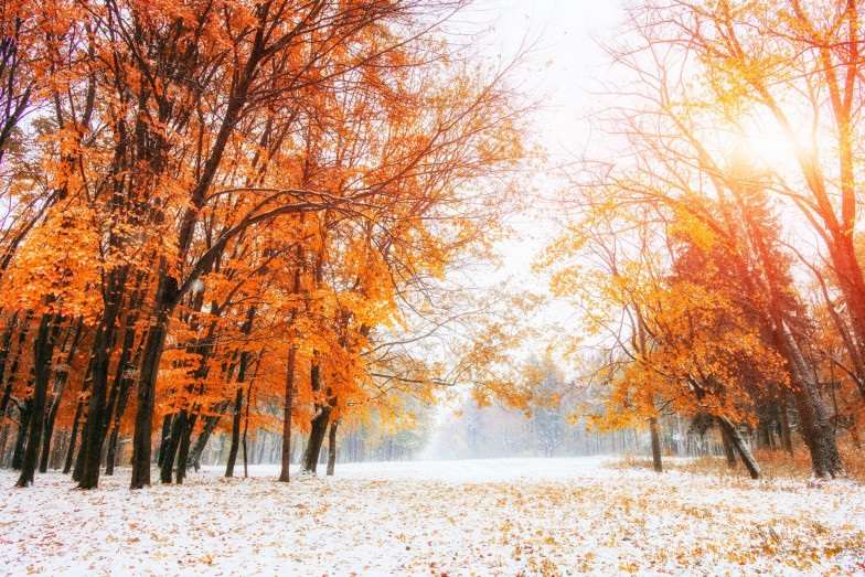 FALL