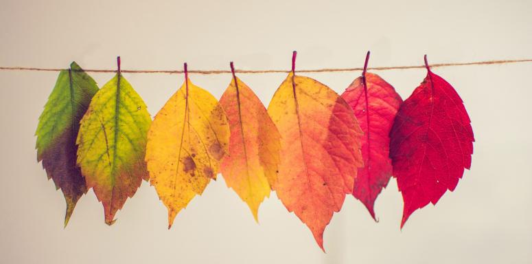 MOBILESTYLES Tips for Seasonal Skincare MOBILESTYLES Tips for Seasonal Skincare