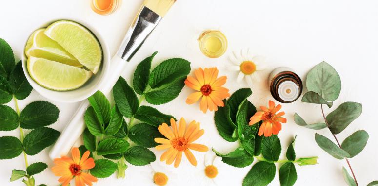 Eco-Beauty Yoursquoll Love These Cruelty-Free Vegan Brands Eco-Beauty Yoursquoll Love These Cruelty-Free Vegan Brands
