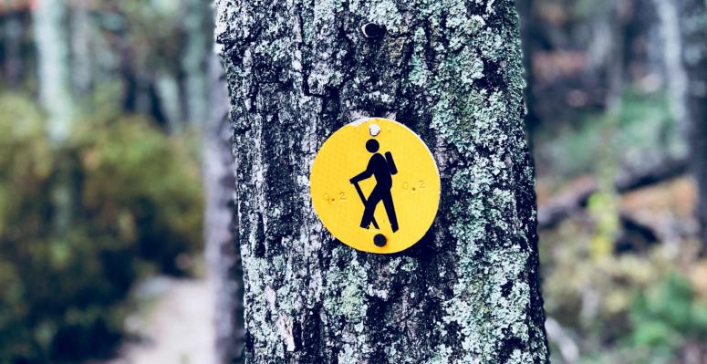 Take These Simple Plant-Based Snacks on Your Next Day Hike