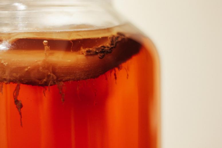 5 of the Biggest Kombucha Health Benefits 5 of the Biggest Kombucha Health Benefits