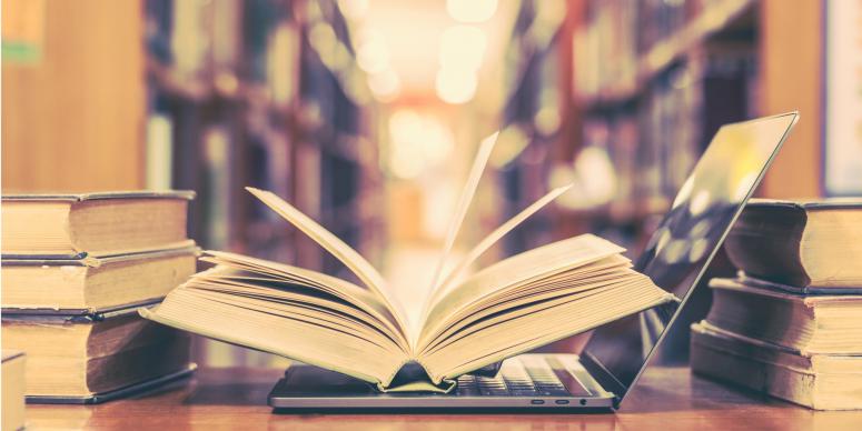 Our Fascination with Pop Culture