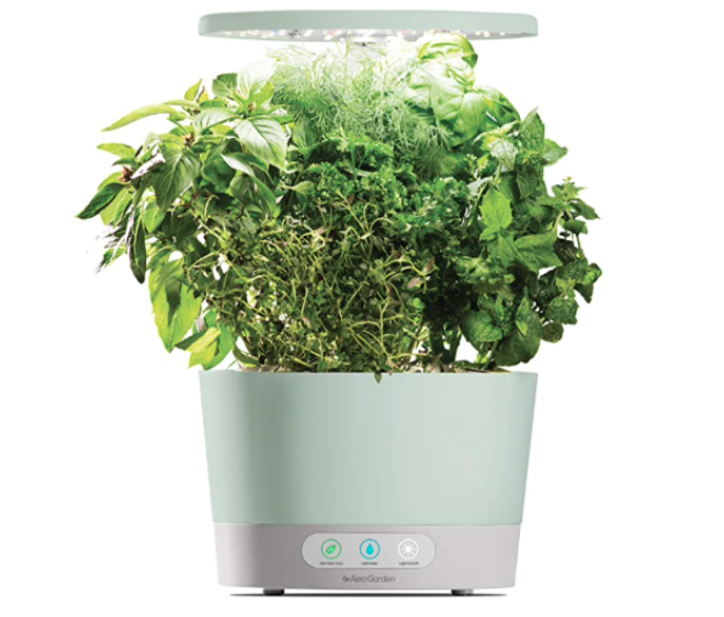 indoor garden